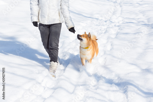 Young Woman Walking With Dog Shiba Inu At Winter Time With