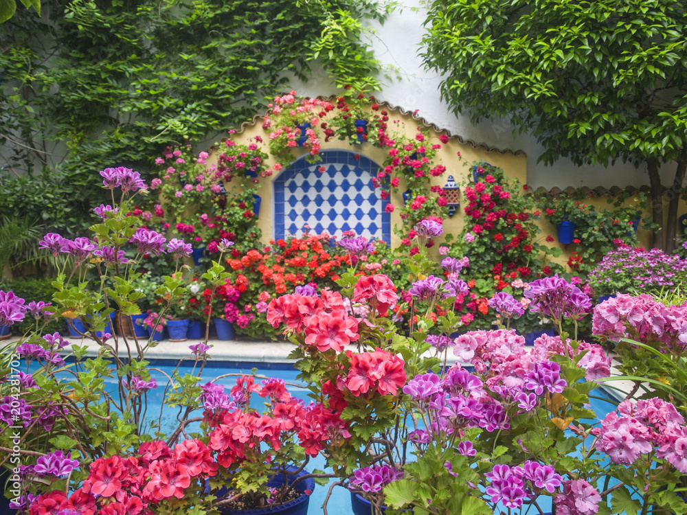 Résultat de recherche d'images pour "Feliz Lunes (Con patio de Córdoba)""