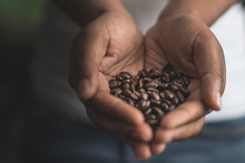 Woman Holding Coffee Beans In Hand
