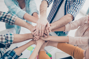 Wall Mural - Close up cropped top high angle view portrait of pile stack of business people's palms putting on top of each other, progress, connection, handshake, agreement, achievement, harmony concept