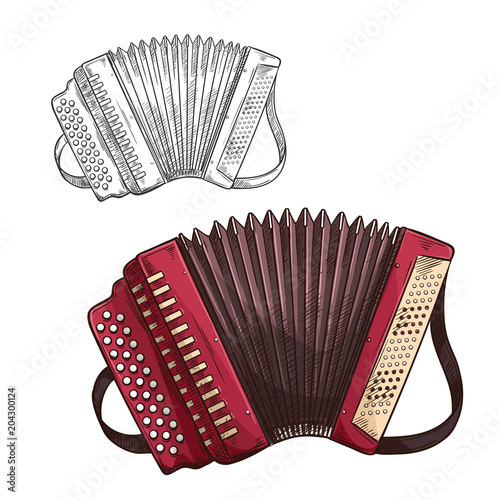 Fotomural Vector sketch accordion musical insturment icon