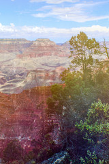  Vertical view of Grand Canyon South Rim with retro vintage filter  framed on one side by trees
