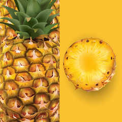 Wall Mural - Pineapple. Vector illustration