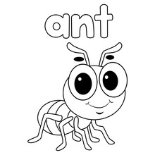 Coloring Book Outlined Ant