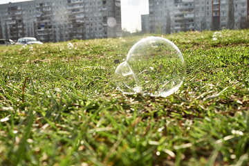 soap bubble on grass