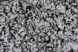 Fototapeta Do akwarium - View of ground covered with snow and fallen leaves from above