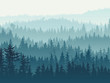 Horizontal illustration of blue coniferous forest.