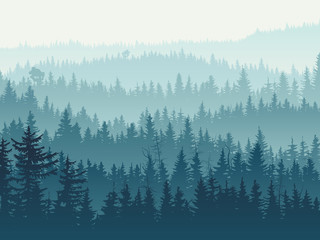 Obraz na płótnie sosna świerk las