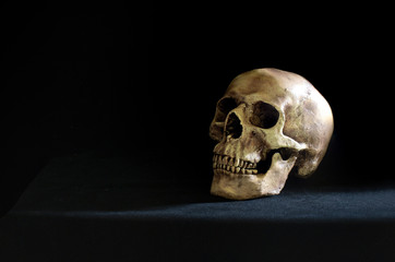 Single skull put on the black table and black wall in morgue room dim light