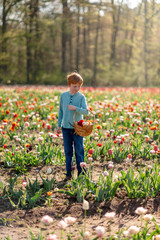 Wall Mural - Boy Picking Tulips