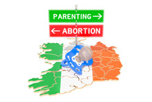 Parenting Or Aborting Road Signpost, Referendum In Ireland. 3D Rendering