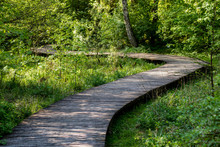 A Winding Wooden Bridge In The Forest. A Forest Path Leading Across A Bridge In A Dendrological Park.