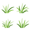 Set of grass tufts, clip art, transparent background