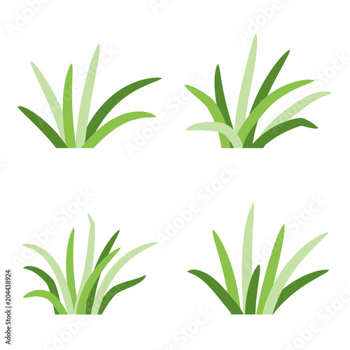 Fotomural Set of grass tufts, clip art, transparent background