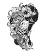 Carp fish and chrysanthemum tattoo by hand drawing.Tattoo art highly detailed in line art style.