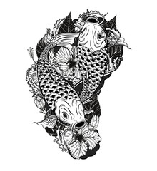 Wall Mural - Carp fish and chrysanthemum tattoo by hand drawing.Tattoo art highly detailed in line art style.