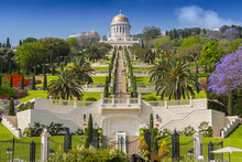 View Of Bahai Gardens And The Shrine Of The Bab On Mount Carmel In Haifa, Israel.