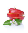 Sliced perfect fresh ripe red apple with leaves and spring flowers