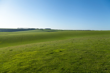 green panorama