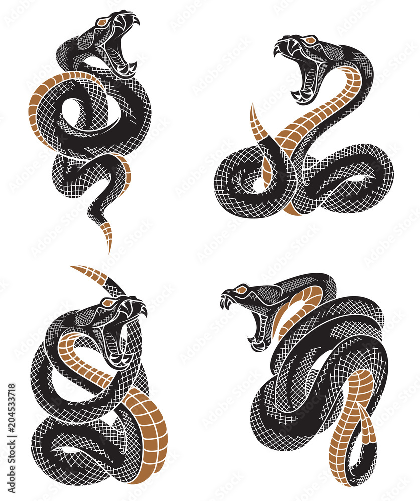 Viper snake set. Hand drawn illustrations in engraving ink technique isolated on withe background.   - obrazy, fototapety, plakaty 