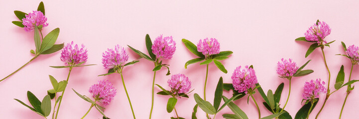Wall Mural - Flower pattern of wildflowers. Composition of flowers and plants. Top view. Floral abstract background. Pink flowers on a pink background.