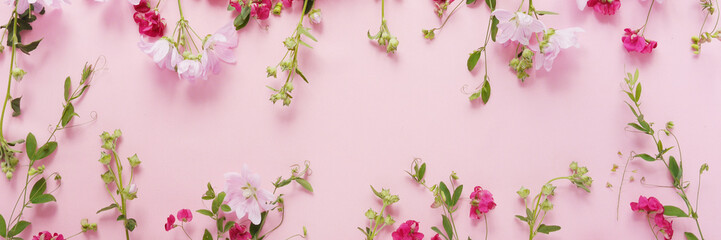 Wall Mural - Flower pattern of wildflowers. Composition of flowers and plants. Top view. Floral abstract background. Pink flowers on a pink background.