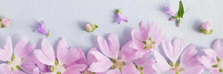 Wall Mural - Flower pattern of wildflowers. Composition of flowers. Top view. Floral abstract background. Small white flowers on a blue paper background. The concept of summer, spring, Mother's Day, March 8. 