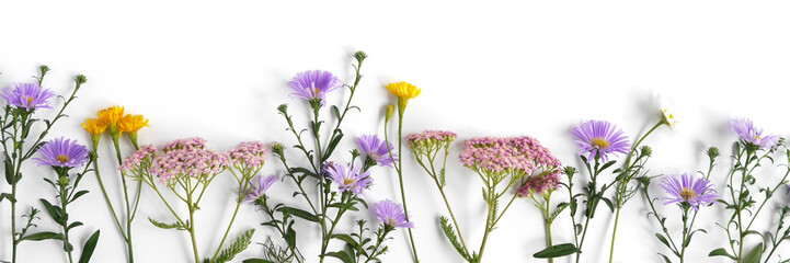 Wall Mural - Floral and plants on white background. Frame of flowers. March 8, mother's day background. Top view, flat lay. Composition of wild flowers. Flower pattern.