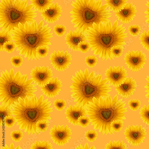 seamless pattern flower sunflower