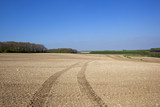 Fototapeta Na sufit - chalky cultivated field with tyre tracks