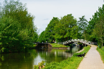 Wall Mural - River and small arch bridge. Path with a dog. Countryside landscape in summer