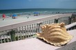 Shell on Railing of Boardwalk Overlooking Beach in Boca Raton, Florida