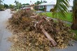 Hurricane Irma leaves a pile of debris in the street in Boca Raton, Florida