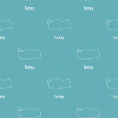Poster - turkey map thin line. simple illustration of turkey map vector isolated on white background
