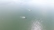 Luftbild See Gewässer Boot Boote Motorboot