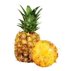 Wall Mural - Pineapple on white background. Watercolor illustration