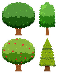 Poster - A Set of  Tree Element