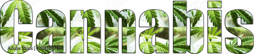 Fotomural Cannabis Logo With Marijuana Leaves Inside Lettering With White Background