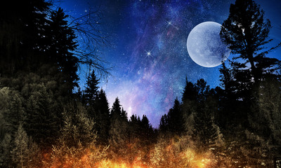 Full moon in night starry sky