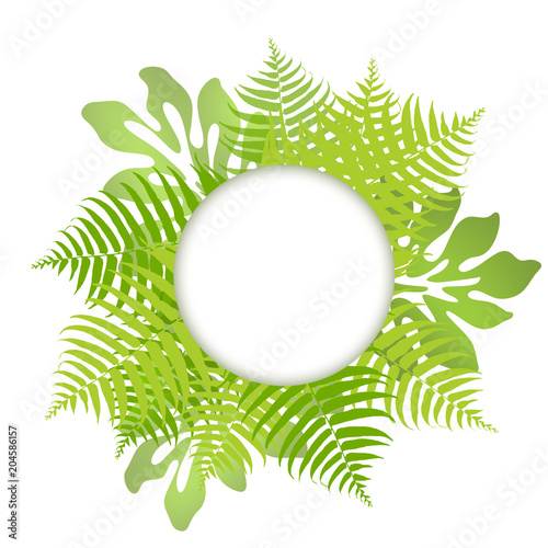 モンステラ プルメリア ハワイ 癒し トロピカル 南国 Buy This Stock Illustration And Explore Similar Illustrations At Adobe Stock Adobe Stock