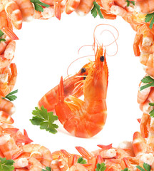 Canvas Print - Fresh shrimps