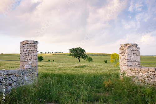 Fotografie, Obraz Landscape of Apulian countryside in the springtime. Italy.