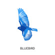 bluebird logo isolated on white background , colorful vector icon, brand sign & symbol for your business
