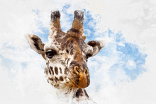 Giraffe Portrait Mixed Media