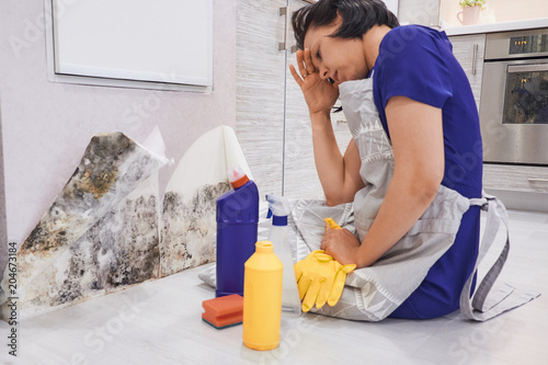 Fotografie, Obraz Housekeeper's Hand With Glove Cleaning Mold From Wall With Sponge And Spray Bott