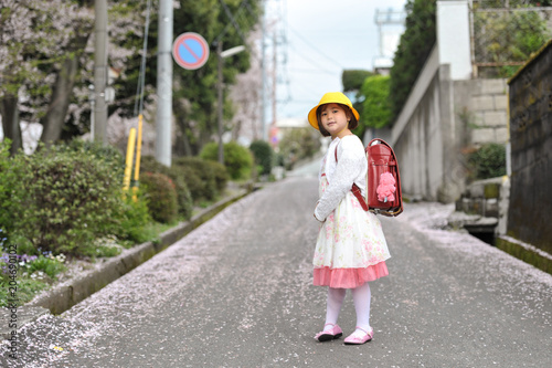 First Day Of A Beautiful Little Girl In Japanese Elementary School Walking On The Flowery Street Of Sakura Leaves Landscape April 6 10 Fuji City Japan Stock Photo Adobe Stock First Day Of A Beautiful Little Girl In Japanese Elementary School Walking On The Flowery Street Of Sakura Leaves Landscape April 6 10 Fuji City Japan Stock Photo Adobe Stock