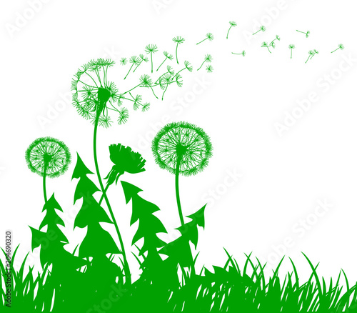 Abstract green dandelion with flying seeds – stock vector