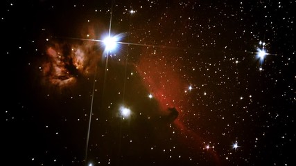 Wall Mural - Bright stars and the Horsehead Nebula
