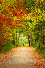 Wall Mural - scenic autumn foliage country road in maine, new england