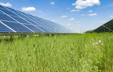 Poster - solar plant